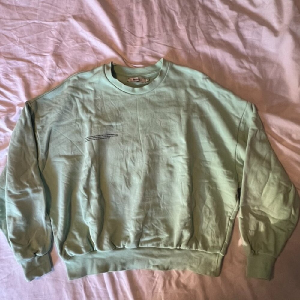 ✨ PANGAIA OVERSIZED CREW NECK MINT GREEN ✨